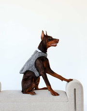 Pet Vest in Dark/Light Gray on a dog sitting stylishly on a couch, showcasing its plush and practical design.