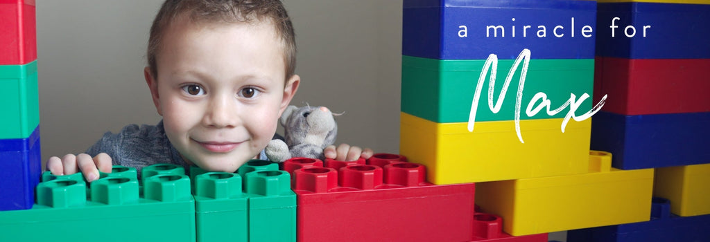 Heart of Minky Story - A Miracle for Max