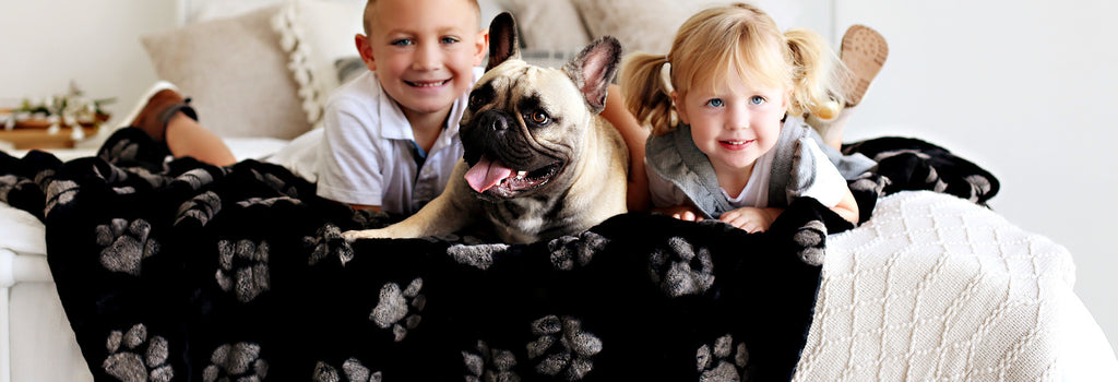 How to Help Your Pets Stay Warm in Winter