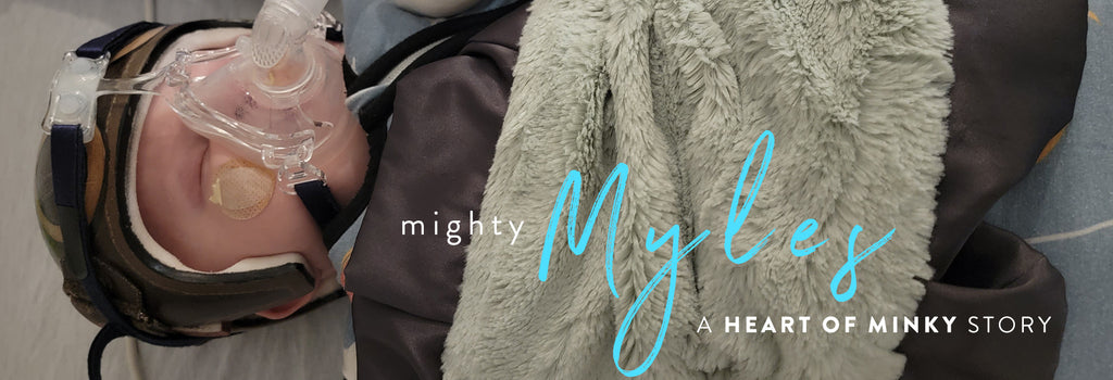 Heart of Minky Story - Mighty Myles
