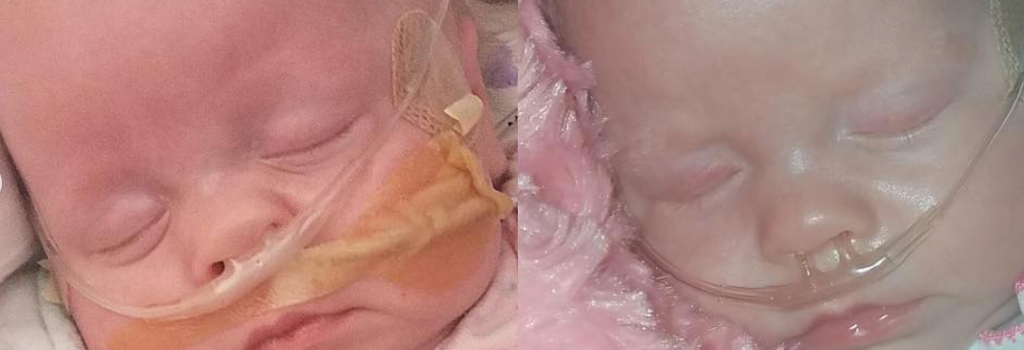 Heart of Minky: Gentrie & Indie