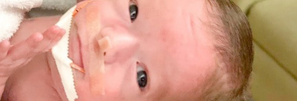 Heart of Minky: Felix