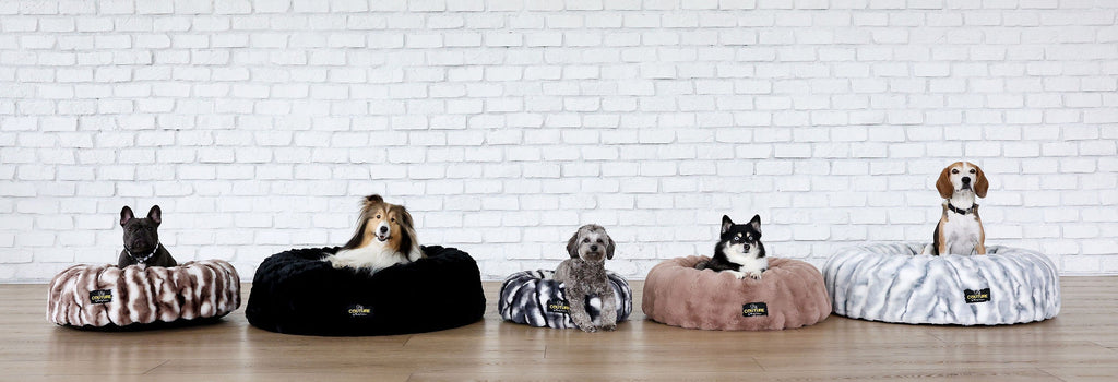 How to Wash a Dog Bed: Simple Steps to Keep Your Pet's Sleeping Space Clean
