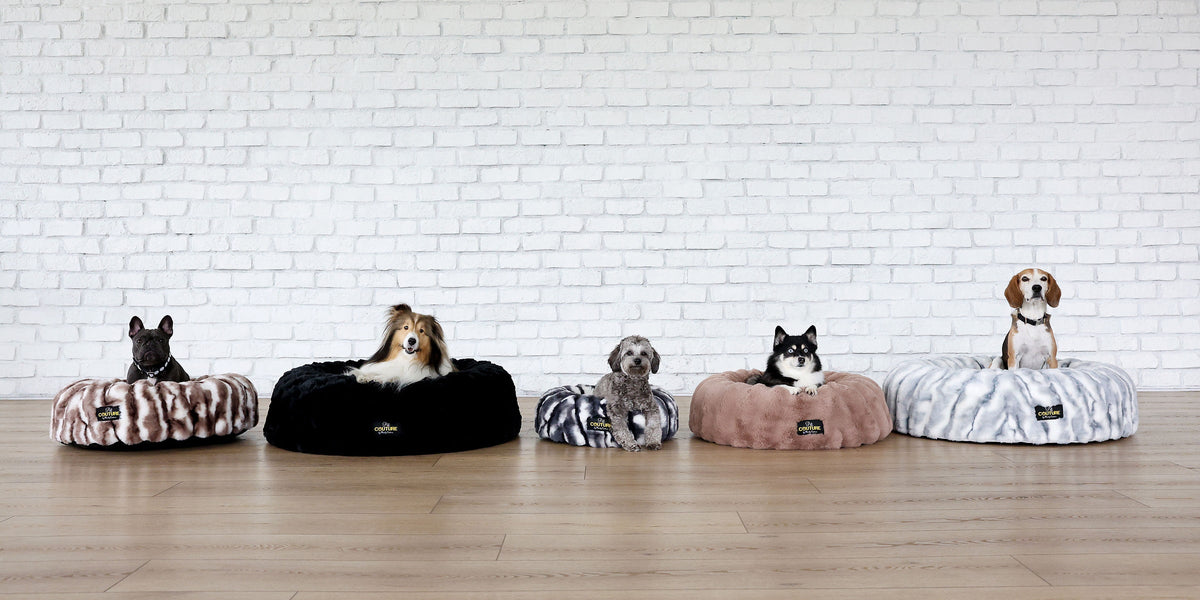 How to Wash a Dog Bed: Simple Steps to Keep Your Pet's Sleeping Space Clean