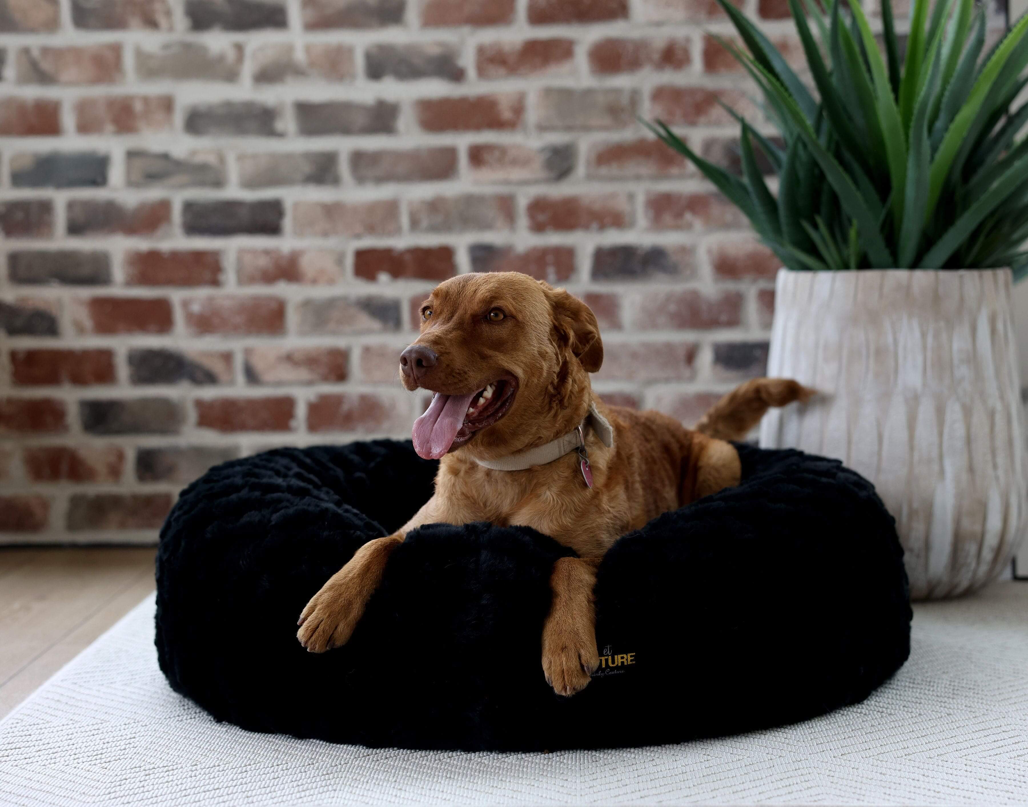 Dog lounging on a Black Crinkle Pet Bed cover, designed for comfort and style.