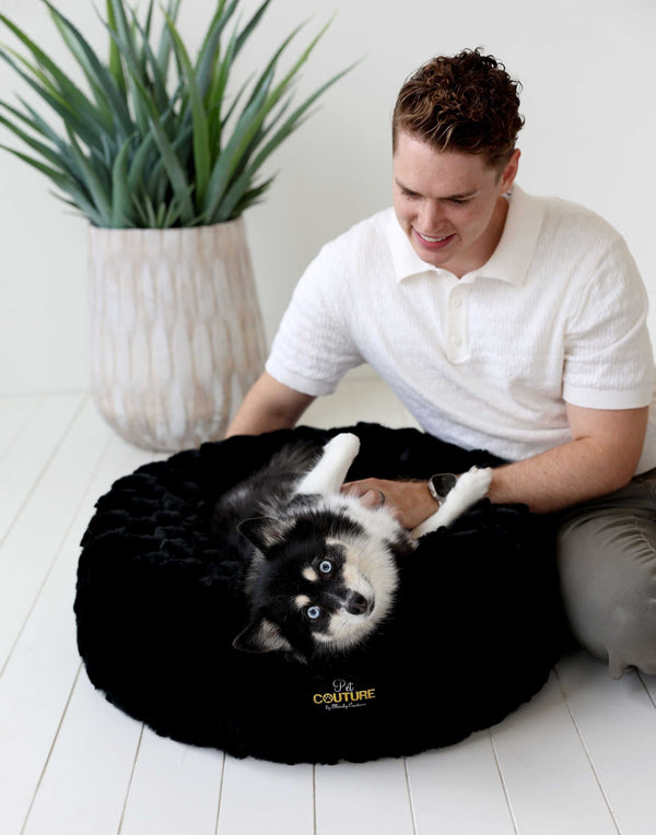 Minky Couture Black Crinkle Pet Bed cover featuring a dog and owner enjoying cozy time together.
