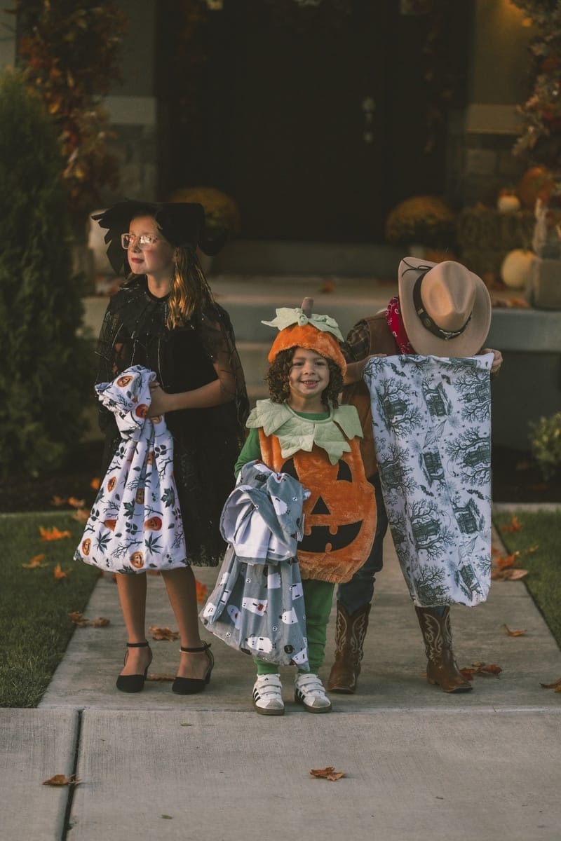 Haunted Toile Blanket