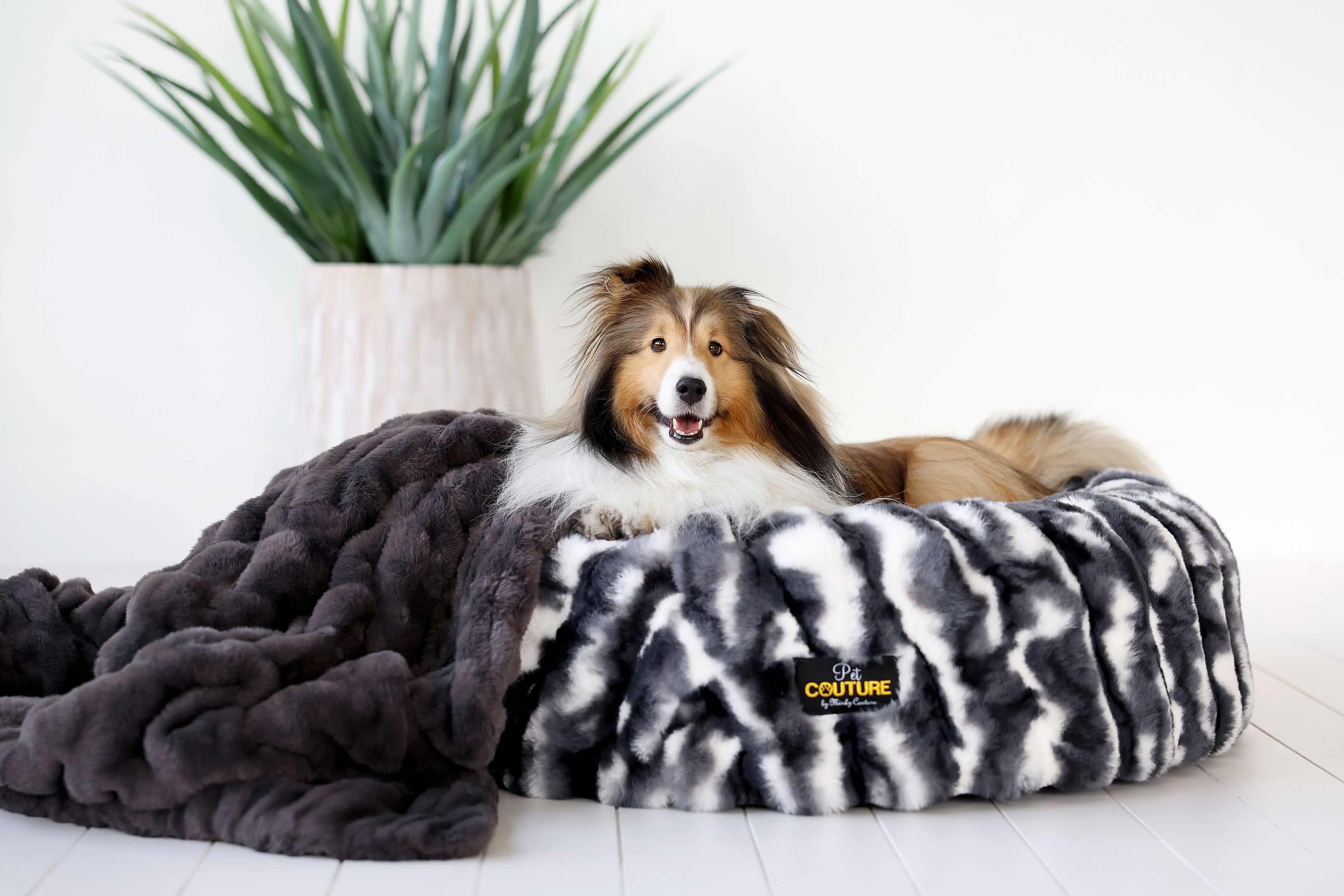 Cloudy Day Black Pet Bed cover featuring a cozy dog resting on a stylish pet bed with a Minky Couture plush blanket.