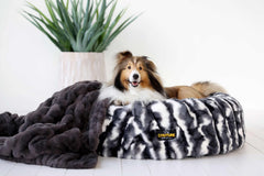 Cloudy Day Black Pet Bed cover featuring a cozy dog resting on a stylish pet bed with a Minky Couture plush blanket.