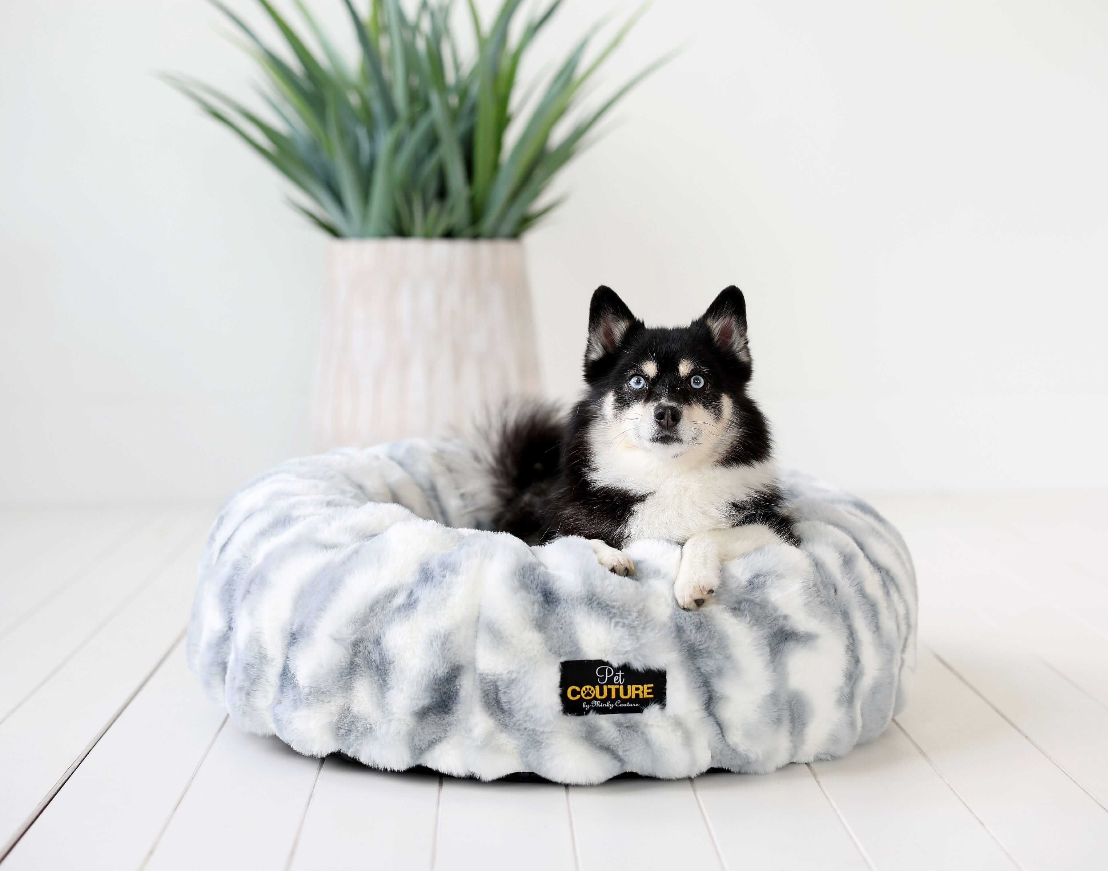 Minky Couture Cloudy Day Blue Pet Bed cover with a cozy dog resting on it framed by indoor greenery.