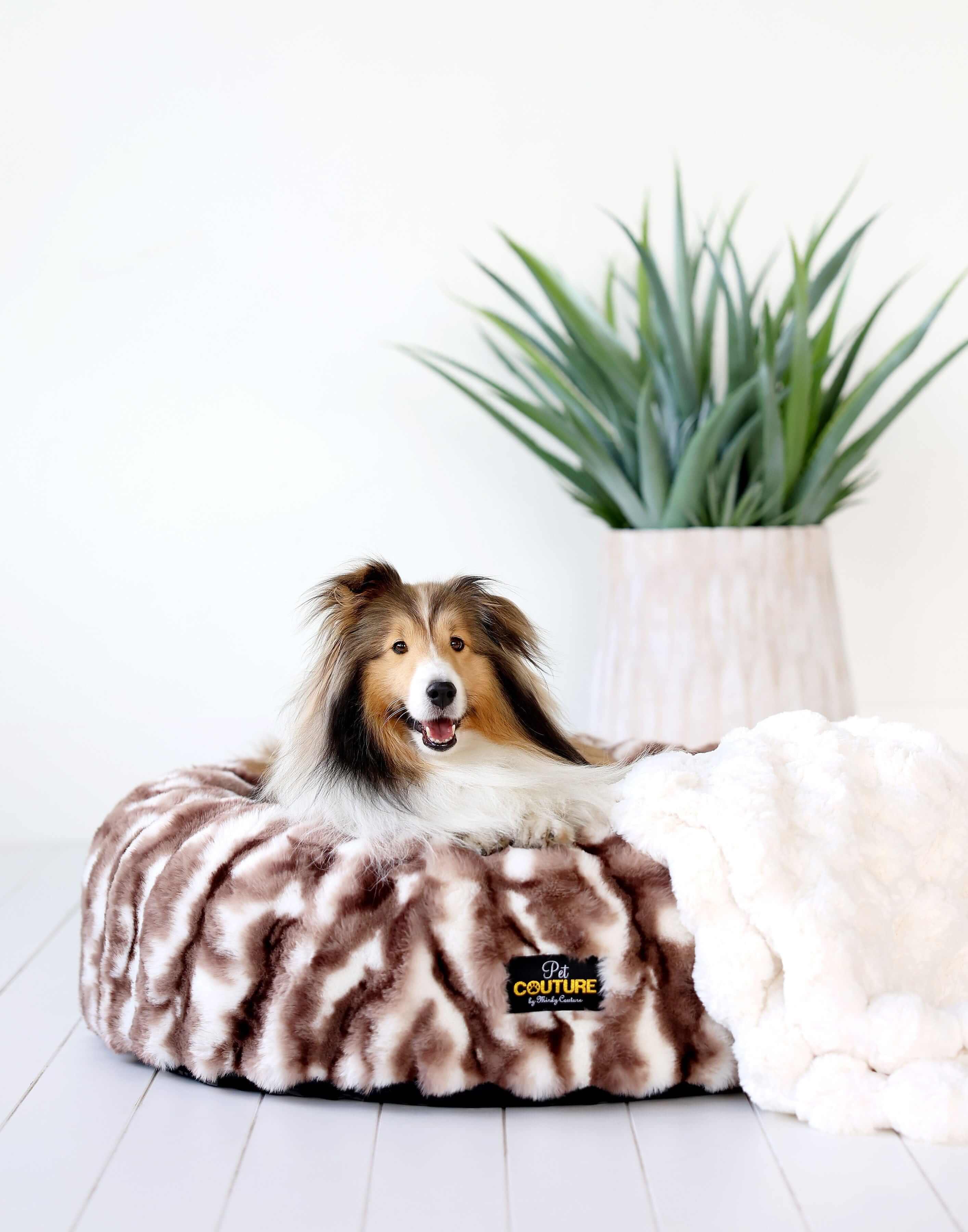 Minky Couture Cloudy Day Brown Pet Bed cover with a happy dog on a cozy plush bed.