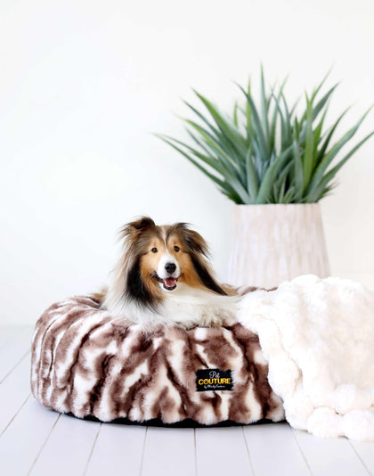 Minky Couture Cloudy Day Brown Pet Bed cover with a happy dog on a cozy plush bed.