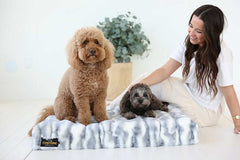 Cloudy Day Blue Pet Crate Pad cover with two dogs on a cozy crate pad.