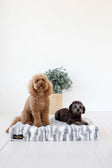 Two dogs resting on Cloudy Day Blue Pet Crate Pad, designed for comfort with high-density memory foam.