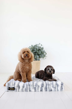 Two dogs resting on Cloudy Day Blue Pet Crate Pad, designed for comfort with high-density memory foam.