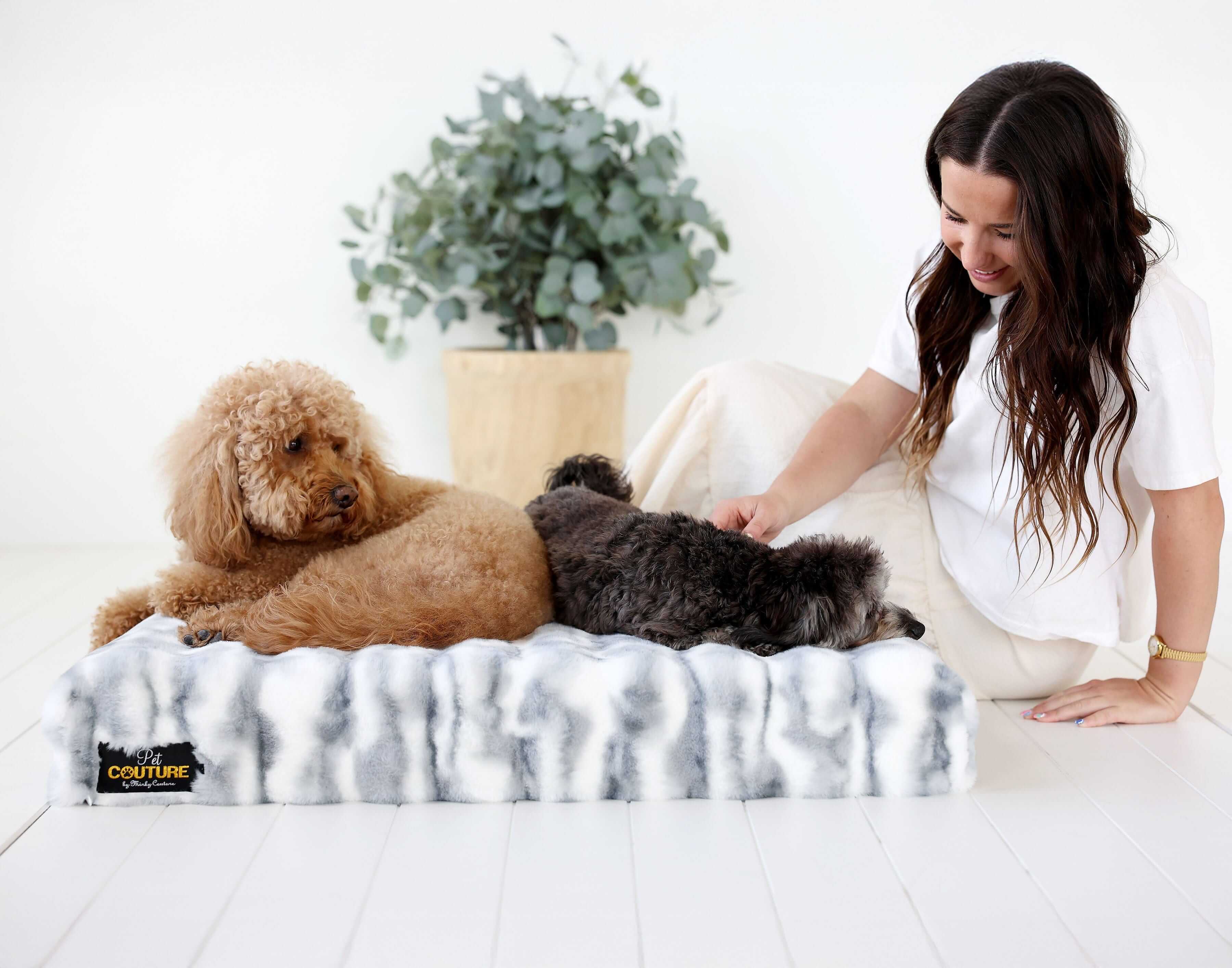 Minky Cloudy Day Blue Pet Crate Pad with two dogs resting peacefully on a cozy memory foam surface.