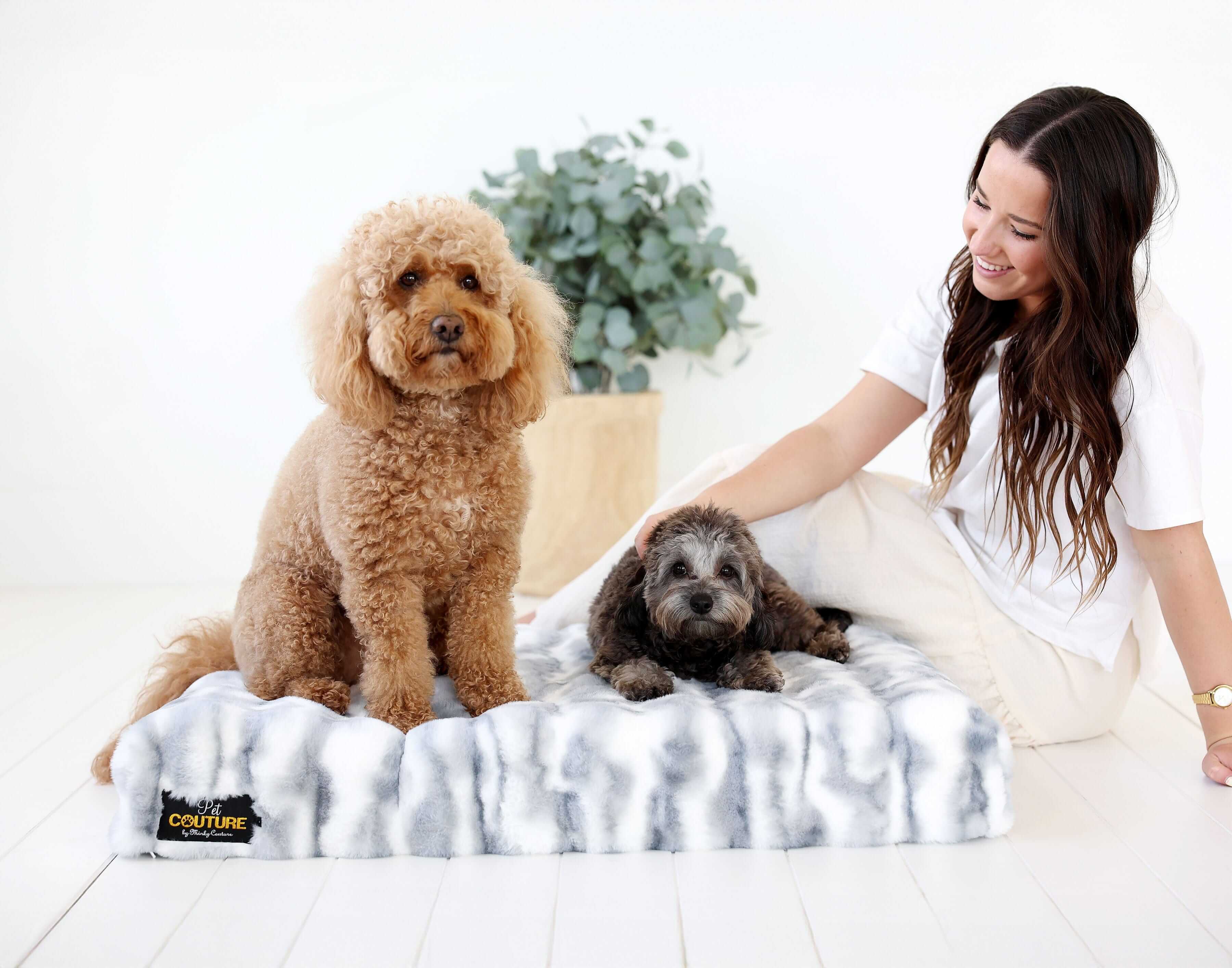 Cloudy Day Blue Pet Crate Pad with two dogs sitting on it and a woman interacting in a bright room.