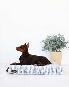 Minky Couture Cloudy Day Blue Pet Crate Pad with a brown dog lounging comfortably on it beside a plant.