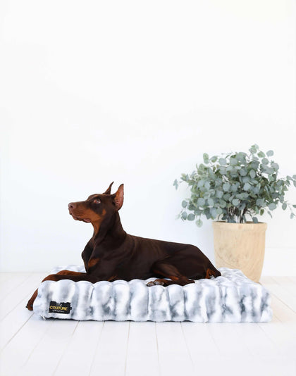 Minky Couture Cloudy Day Blue Pet Crate Pad with a brown dog lounging comfortably on it beside a plant.