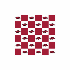 University of Arkansas Razorbacks Blanket - Hugs COMING SOON!