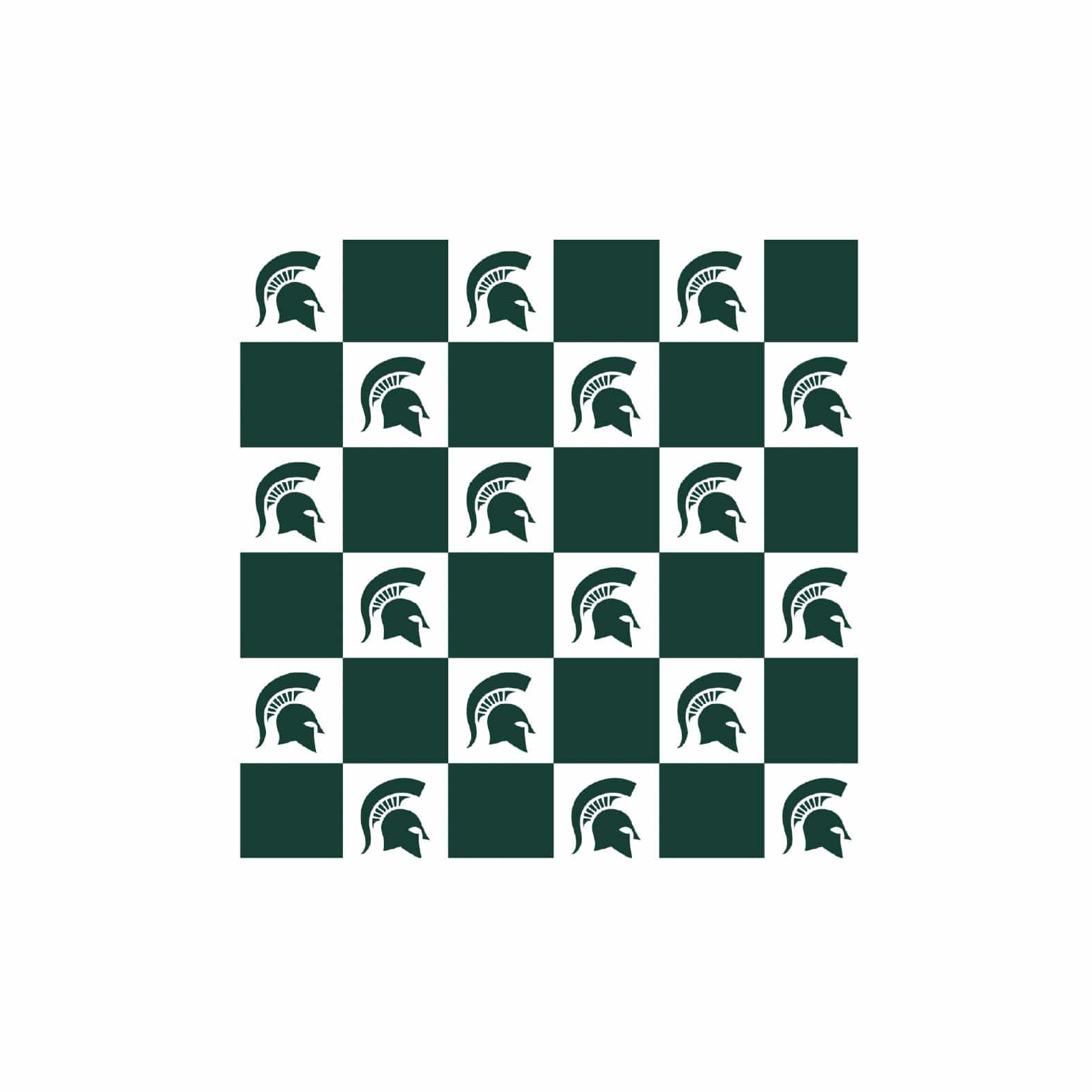 Michigan State University Spartans Blanket - Hugs COMING SOON!