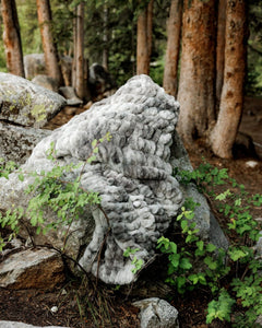 A large Minky Couture Hugs Cotton Candy Licorice blanket nestled among green plants and surrounded by tall tree trunks in a forest setting.