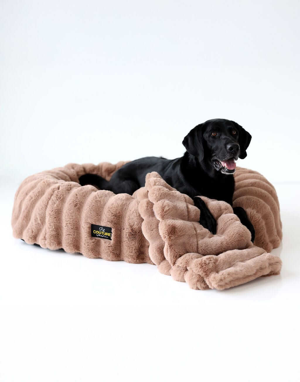 Black dog resting on a brown Minky Couture pet bed with matching blanket on a white background.