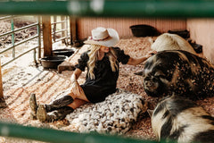 A woman in a white cowboy hat, black dress, and cowboy boots sits on a blanket inside a barn, petting a black and white pig. Another pig is visible in the foreground.