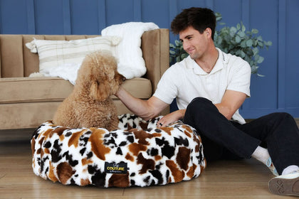 Brown Cow Pet Bed