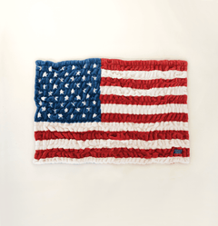 American Hugs Flag Blanket from Minky Couture collection.