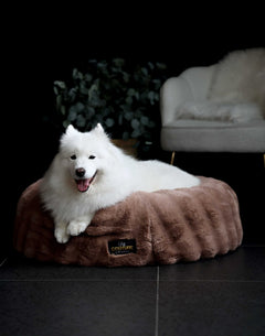 Minky Couture Milk Chocolate Pet Bed cover on cozy pet bed with happy dog lounging.