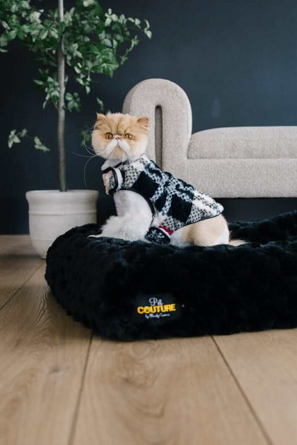 Cozy cat wearing stylish City Plaid/Cream Pet Vest on plush pet bed in modern home setting.