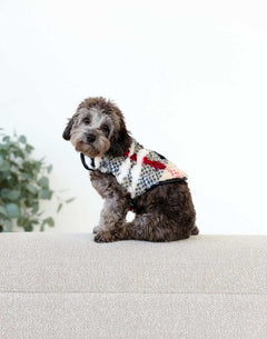 Pet Vest in City Plaid/Cream on a small dog lounging on a couch, showcasing its soft and stylish design.