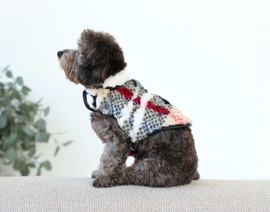 City Plaid/Cream Pet Vest on a stylish dog, showcasing the soft, reversible design and everyday convenience.