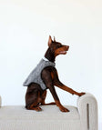 Pet Vest in Dark/Light Gray on a dog sitting stylishly on a couch, showcasing its plush and practical design.