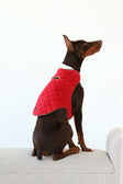 Dog wearing Pet Vest Red/Cream sitting on a couch, showcasing its stylish and comfortable design.