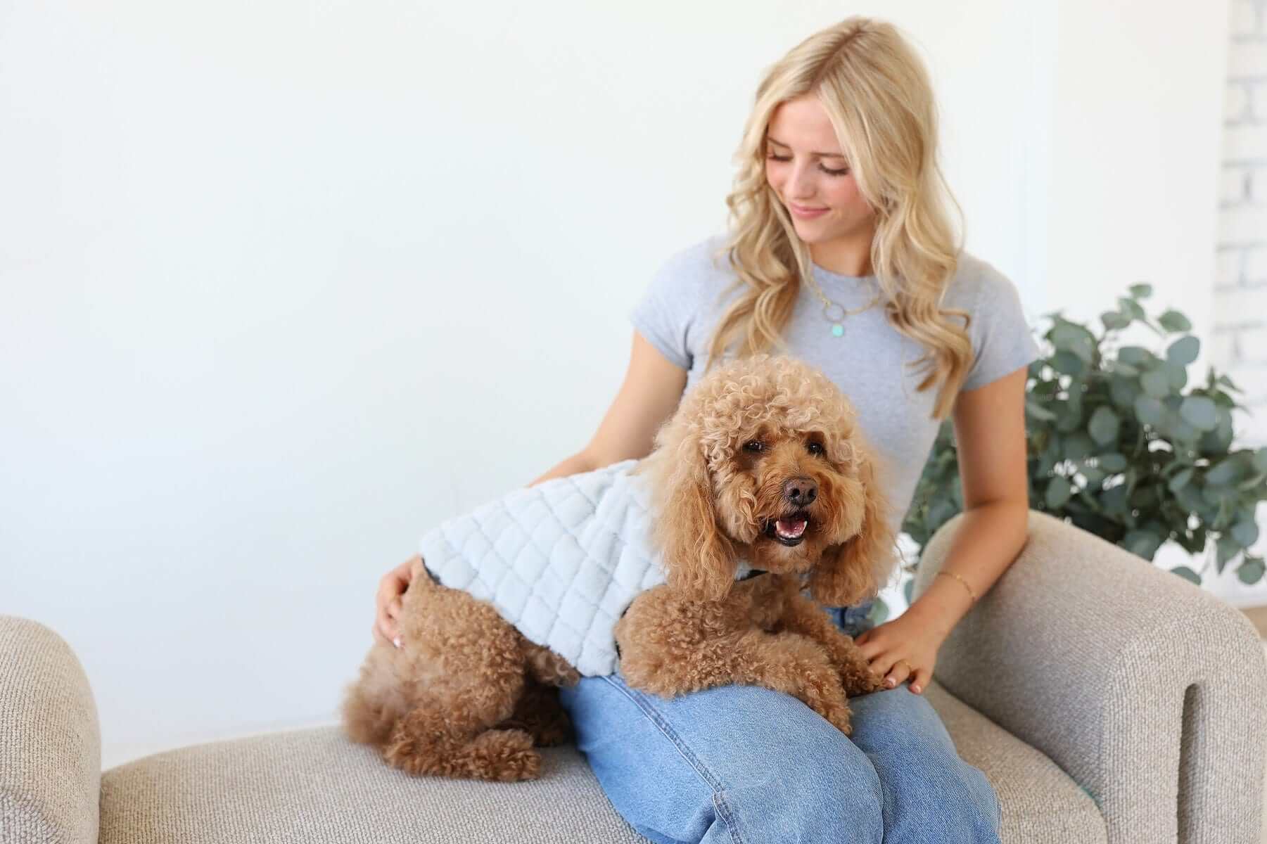Pet Vest in Sandra/Light Gray showcased on a happy dog seated with its owner.