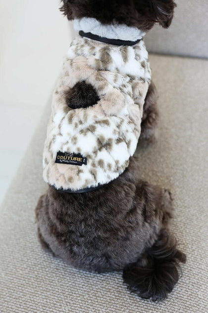 Sandra/Light Gray Pet Vest shown on a small dog, featuring leopard print, plush fabric, and Velcro closures.