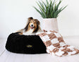 A happy dog resting on a Minky Couture Black Crinkle Pet Bed with a cozy blanket, surrounded by greenery.