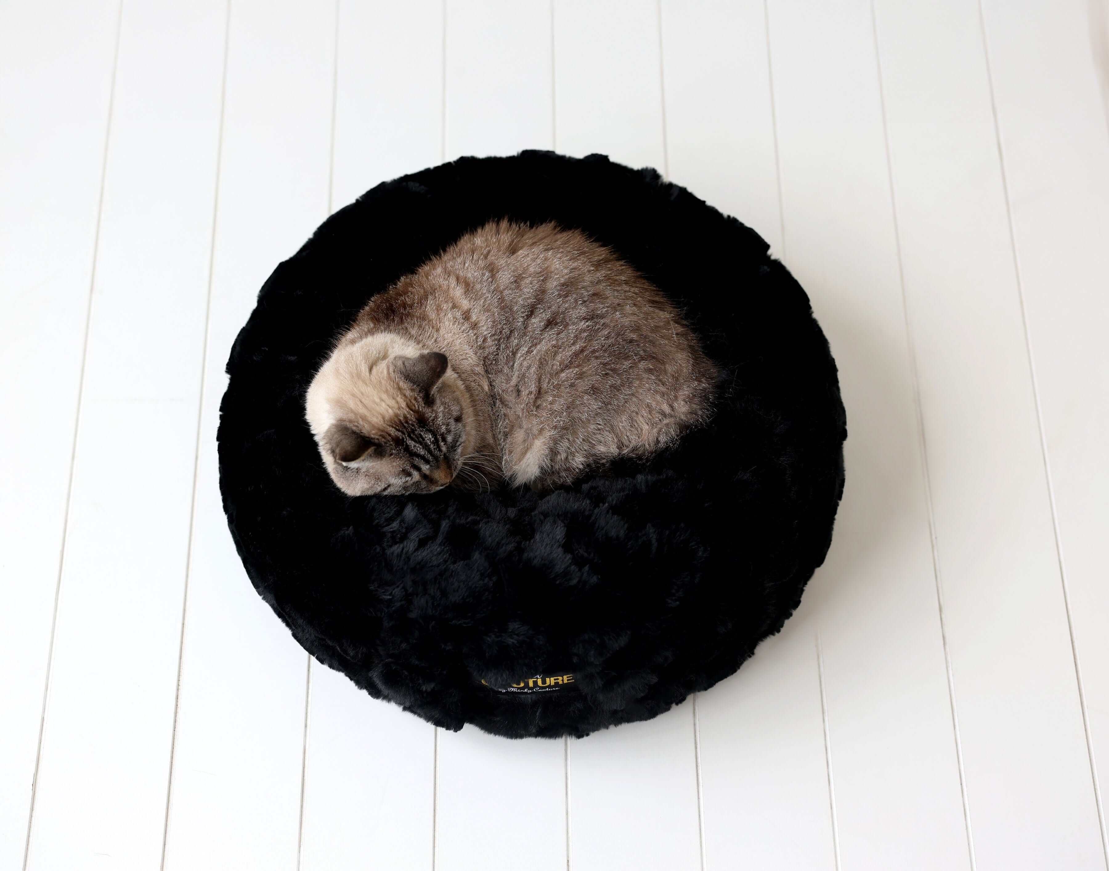 Black Crinkle Pet Bed with a cozy cat curled up inside, showcasing comfort and soft Minky Couture fabric.