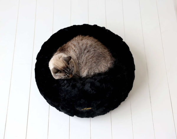 Black Crinkle Pet Bed with a cozy cat curled up inside, showcasing comfort and soft Minky Couture fabric.