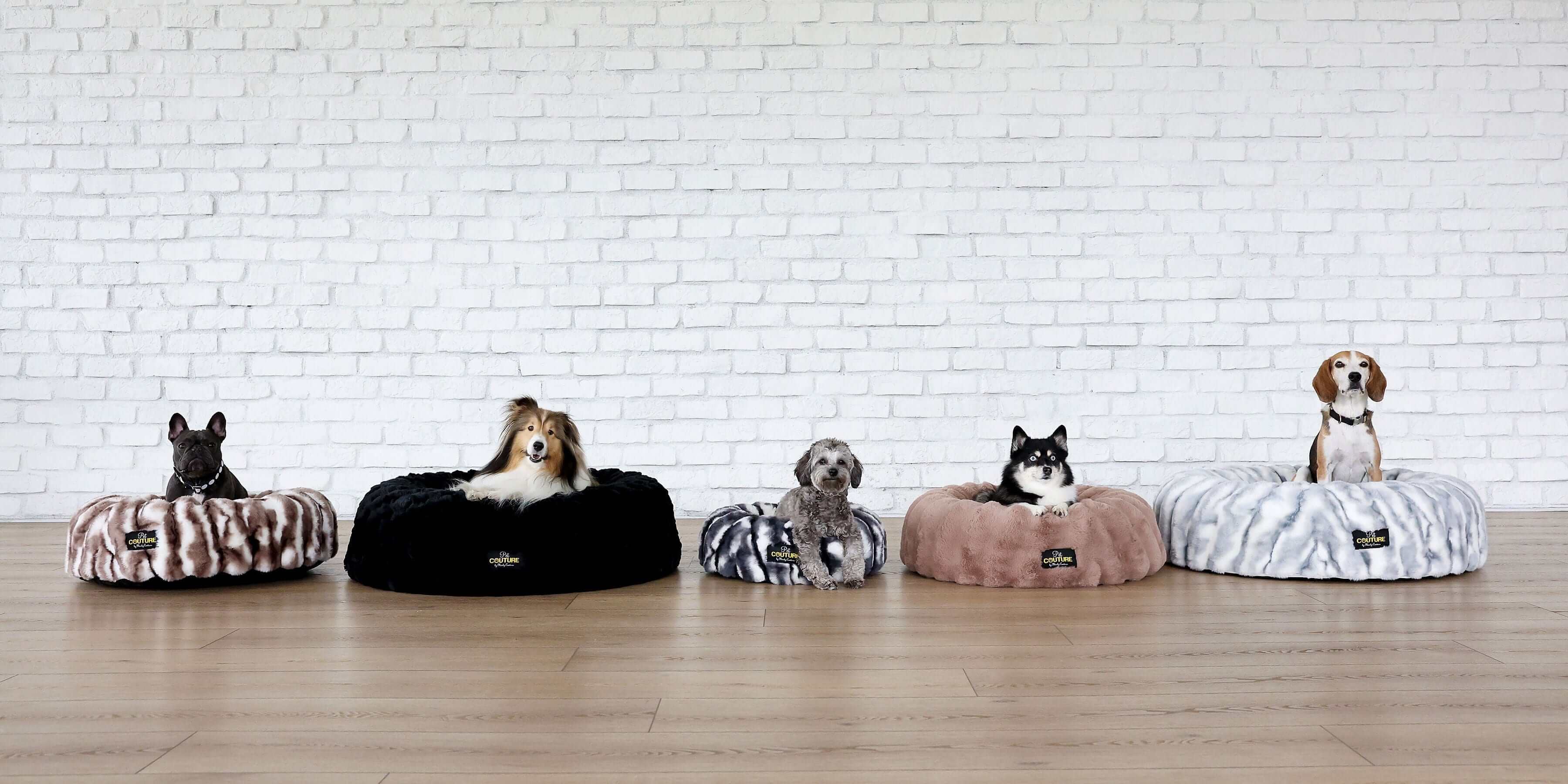 Five dogs relaxing on Minky Couture stylish Crinkle Pet Beds in various colors, showcasing comfort for pets.