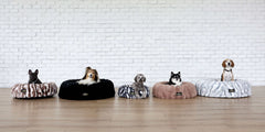Five dogs relaxing on Minky Couture stylish Crinkle Pet Beds in various colors, showcasing comfort for pets.