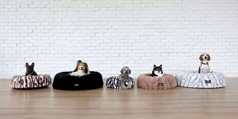 Five dogs relaxing on Minky Couture stylish Crinkle Pet Beds in various colors, showcasing comfort for pets.