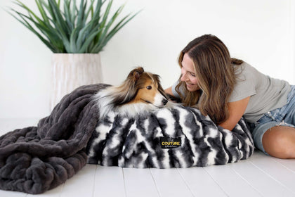 Cloudy Day Black Pet Bed with a dog and owner, showcasing comfort and style in a cozy space.