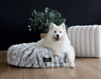 Minky Couture Cloudy Day Blue Pet Bed with a happy dog resting comfortably in a stylish interior.
