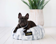 Minky Couture Cloudy Day Blue Pet Bed with a French Bulldog lounging comfortably on a soft, round pet bed.