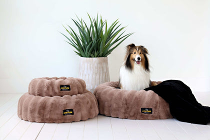 Various sizes Minky Couture Milk Chocolate Pet Beds featuring a furry dog lounging on the larger bed with black blanket.