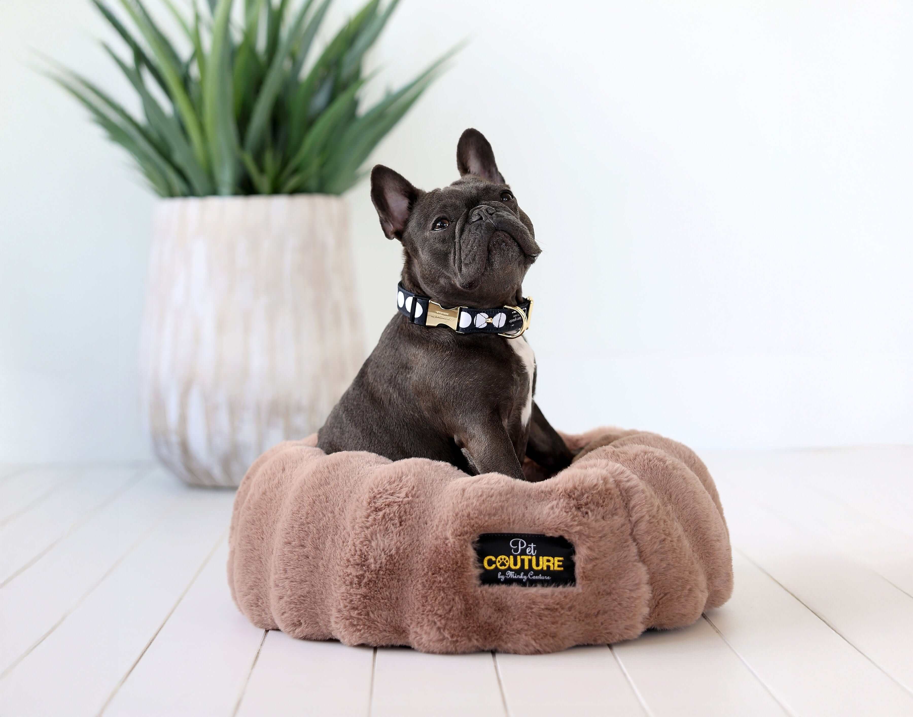 French Bulldog relaxing in a Milk Chocolate Pet Bed, showcasing comfort with a cozy design and high-density memory foam.