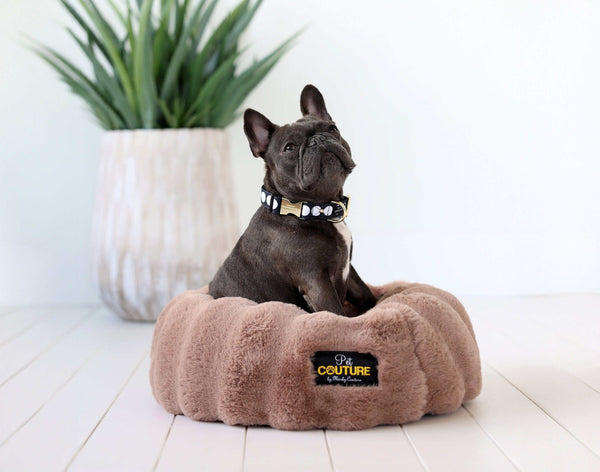 French Bulldog relaxing in a Milk Chocolate Pet Bed, showcasing comfort with a cozy design and high-density memory foam.